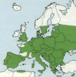 Výskyt v evropì