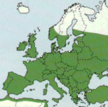 V�skyt v evrop�